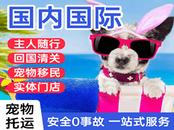 海西德令哈机场快运国际宠物托运 【国
